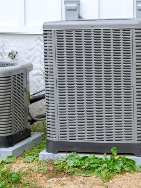 WhatsApp Image 2026-02-20 at 9.44.44 PM (4)