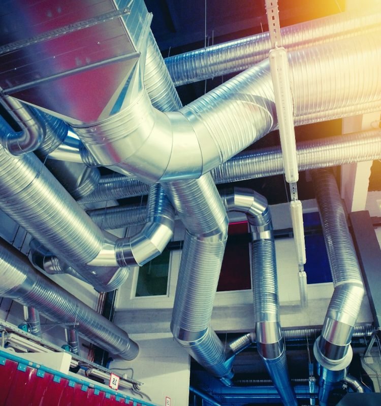 WhatsApp Image 2026-02-20 at 9.44.44 PM